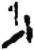 少(简·秦·龙岗)
