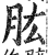 肱(印刷字体·明·洪武正韵)