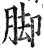 脚(印刷字体·明·洪武正韵)